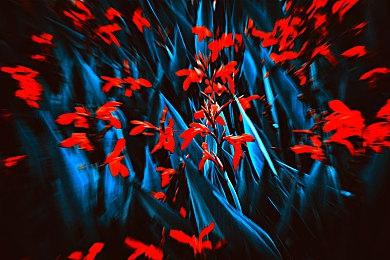 《暗黑破坏神4》的PVP模式并不会保证绝对公平