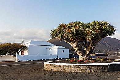 《塞尔达：王国之泪》玩家能融合物品创造新装备 打造载具